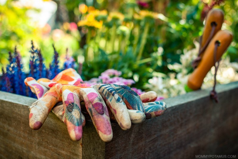 Gardening gloves and trowels